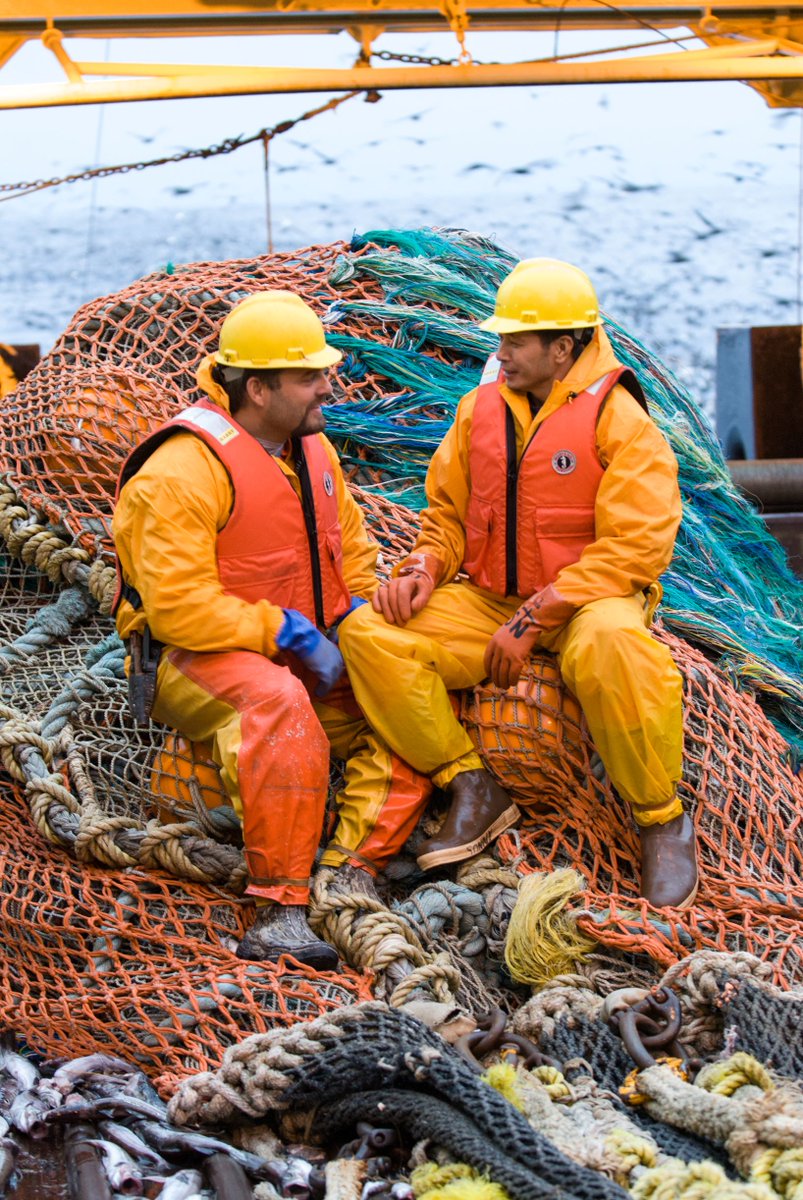 wildAKpollock's tweet image. It's #NationalComplimentDay! Today, we're sending one big compliment to #TeamWildAlaskaPollock. 🐟

Thank you for being such hardworking and passionate supporters of our #PerfectProtein — you're the best! 💙