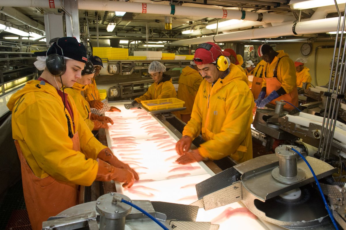 wildAKpollock's tweet image. It's #NationalComplimentDay! Today, we're sending one big compliment to #TeamWildAlaskaPollock. 🐟

Thank you for being such hardworking and passionate supporters of our #PerfectProtein — you're the best! 💙