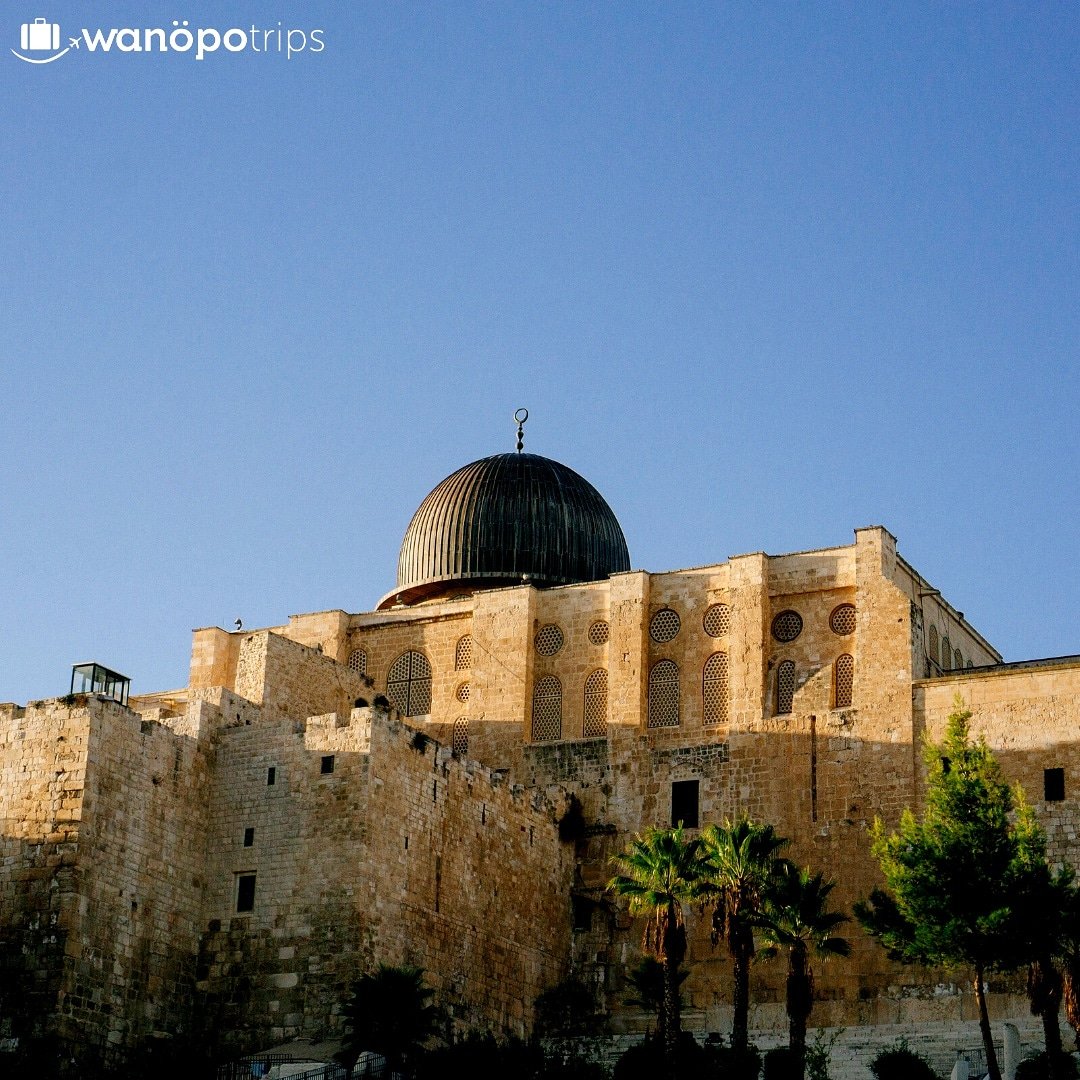 WanopoTrips's tweet photo. Paquete vacacional: Viaje de 4 noches y 5 días. Incluye: vuelo ida y vuelta desde Madrid a #Jerusalén, 4 noches de hospedaje en hab. doble, traslados aeropuerto a hotel y un tour grupal. Precio/p. desde 620 €.
Comunícate ya con Wanöpo Trips para organizar tu viaje personalizado. https://t.co/82J104QrFO