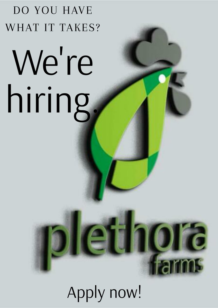PlethoraFarms's tweet photo. Do you have what it takes?

Do you have strong communication skills and networking Abilities?

Do you have strong Marketing skills?

We are currently Hiring experienced Marketers!
Location: Kaduna

Apply via https://t.co/RB2lIZfLcb https://t.co/cprN4GmmsG
