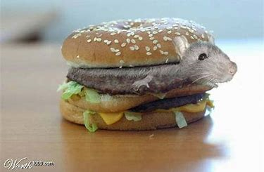 hamster burger