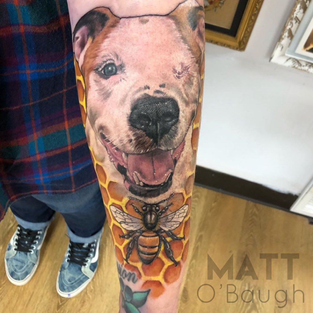 Matt O'Baugh tweet media