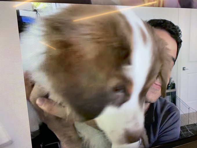 Q:What&rsquo;s cuter than ⁦@kayvz⁩?   A: ⁦@kayvz⁩ holding a puppy!! https://t.co/iWfLrl8GxR<a class="tags" target="_blank" title="On Twitter" href="/?out=eyJ0eXAiOiJKV1QiLCJhbGciOiJIUzUxMiJ9.eyJpYXQiOjE3MjMwODk5MTQsImlzcyI6InR3cG9ybnN0YXJzLmNvbSIsIm5iZiI6MTcyMzA4OTkxNCwiZXhwIjoxNzU0NjI1OTE0LCJyZWRpcmVjdF91cmwiOiJodHRwczovL3R3aXR0ZXIuY29tL2theXZ6In0.1pnGxjwXCypimstzHfqhrtfO1YxGBNTprsWOUTDKEl-iPhmfmepFVWcPa7-uAK72eSugTS98-cd4zLKygOve3g">@kayvz</a><a class="tags" target="_blank" title="On Twitter" href="/?out=eyJ0eXAiOiJKV1QiLCJhbGciOiJIUzUxMiJ9.eyJpYXQiOjE3MjMwODk5MTQsImlzcyI6InR3cG9ybnN0YXJzLmNvbSIsIm5iZiI6MTcyMzA4OTkxNCwiZXhwIjoxNzU0NjI1OTE0LCJyZWRpcmVjdF91cmwiOiJodHRwczovL3R3aXR0ZXIuY29tL2theXZ6In0.1pnGxjwXCypimstzHfqhrtfO1YxGBNTprsWOUTDKEl-iPhmfmepFVWcPa7-uAK72eSugTS98-cd4zLKygOve3g">@kayvz</a><a href="/tag/goldbird"class="tags"><span>#goldbird</span></a>