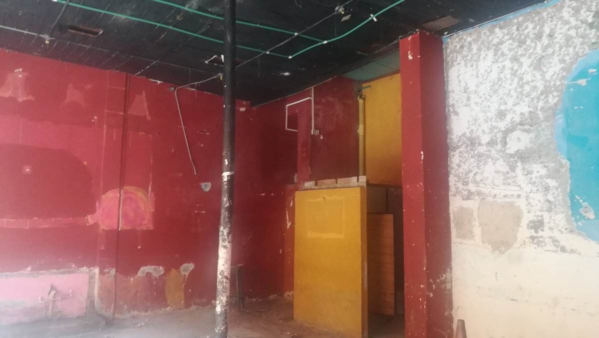 Deiby Palomino tweet media