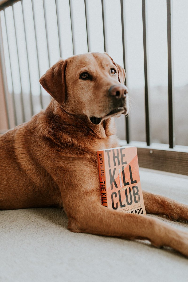 MyBookBoxUS's tweet image. Look at that adorable good boy. You trust him, don’t you? He would never steer you wrong and right now, he’s telling you to read The Kill Club.  
•
Head over to @BibliobarTX to get your copy if you missed the January box!