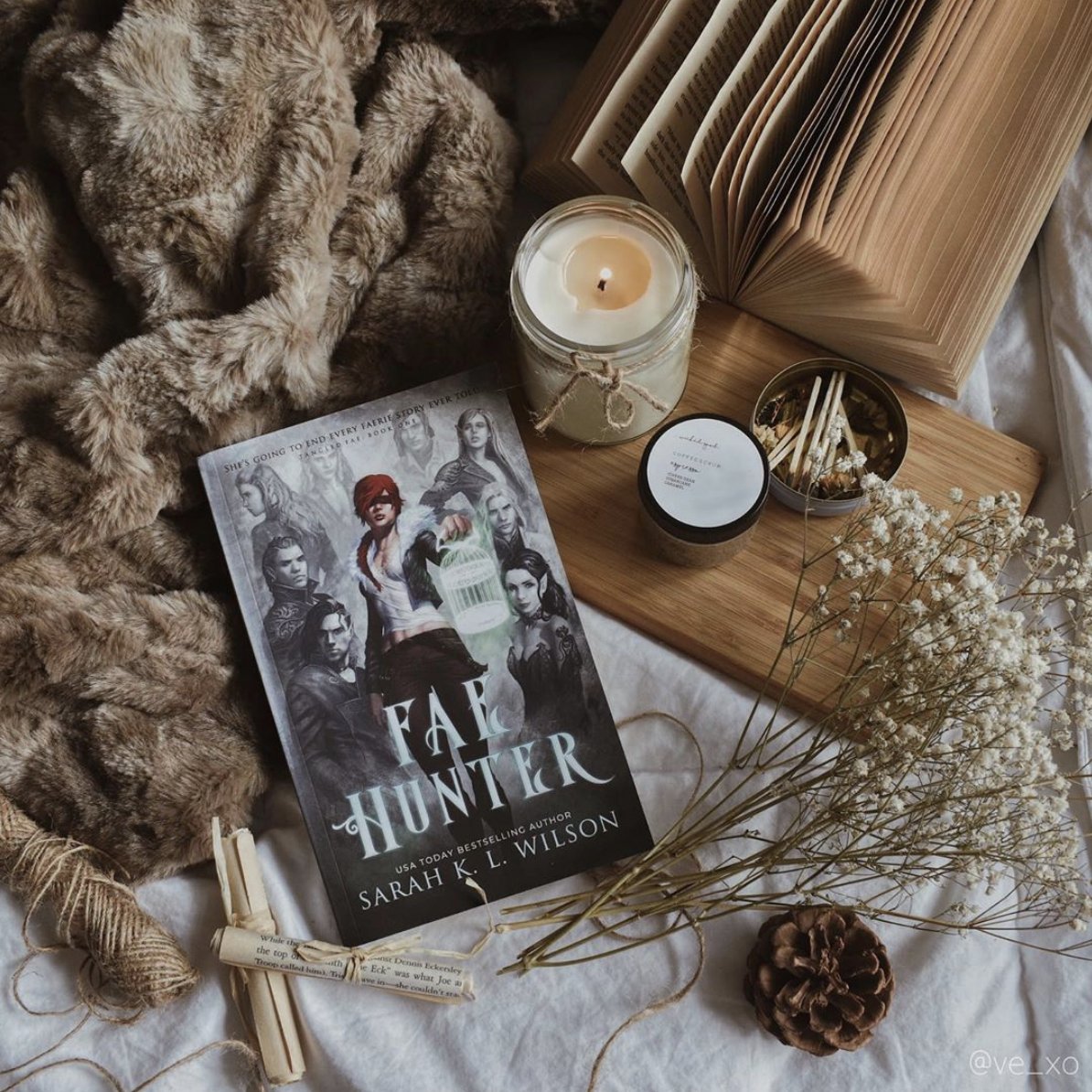 mtmctours's tweet photo. @PaperFury @sarah_kl_wilson @the_ladysparks @MeliRobles @FlorisRobles [day 5] today we're over on @_ve_xo_'s instagram for this epic and cosy photo of #FaeHunter!! Stop by to see why she liked the book + enter the INTL giveaway! https://t.co/1kJbwgFKJU https://t.co/LLGV9hHIWN