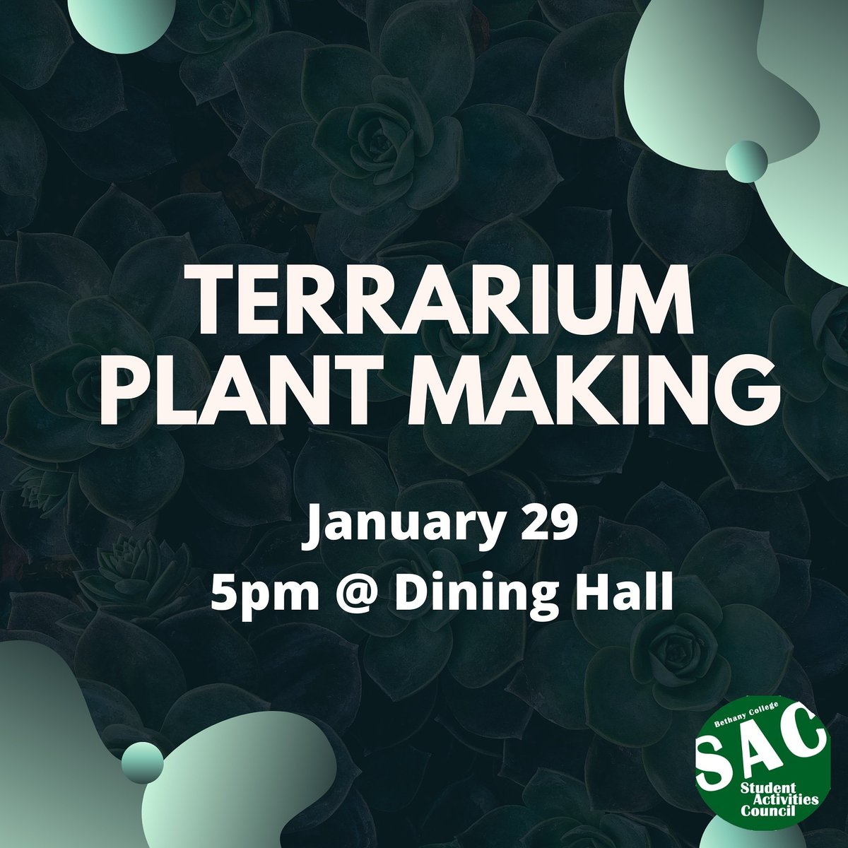 BethanySAC's tweet photo. Got a green thumb? Come to the cafe next Wednesday at 5pm and make a plant terrarium!!! https://t.co/fUD0OGFPcn
