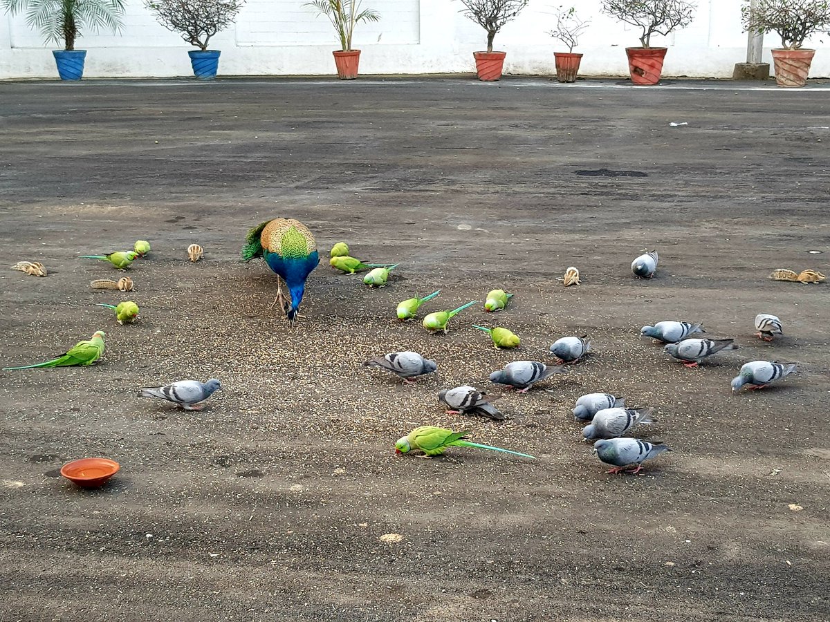 Good morning 💐💐💐