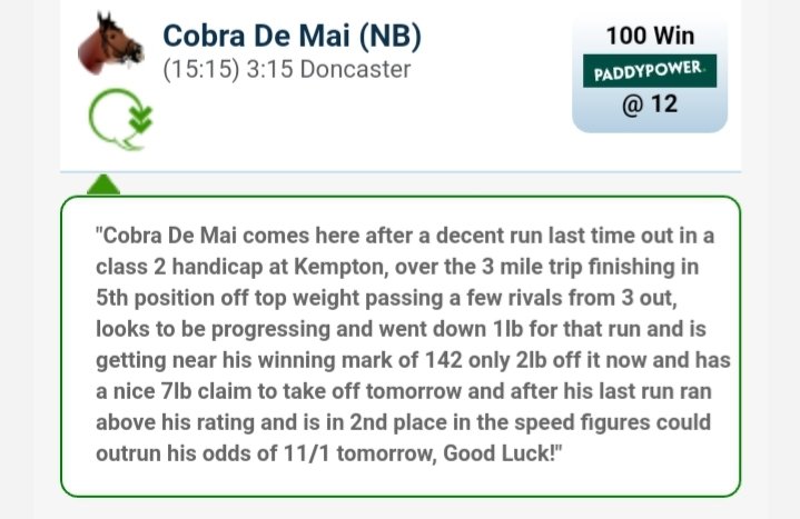 TommyTheTipper's tweet photo. Have selected 3 tips for tomorrows racing as I will be off to the pub to watch the action so have a couple more than normal #horseracing #OLBG #Tipster #freetips #pub #Cheltenham #Doncaster #BristolDeMai #CobraDeMai #Militarian #Goodluck https://t.co/Dxlq7XyBzC