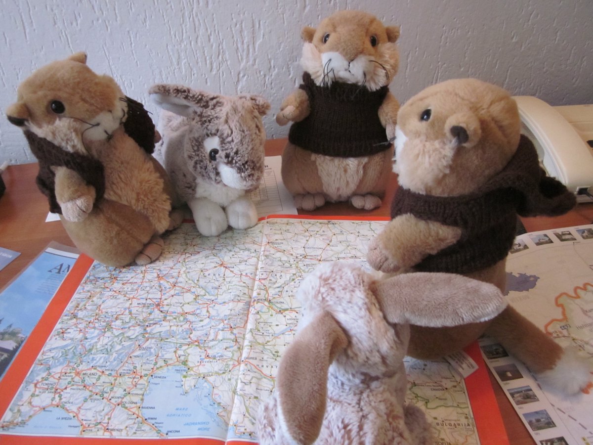from_utah's tweet photo. Planing is everything! And yes, we picked up some bunnies on the way:) 
#roadTrip  #friends #traveling https://t.co/pCVw5sxdio