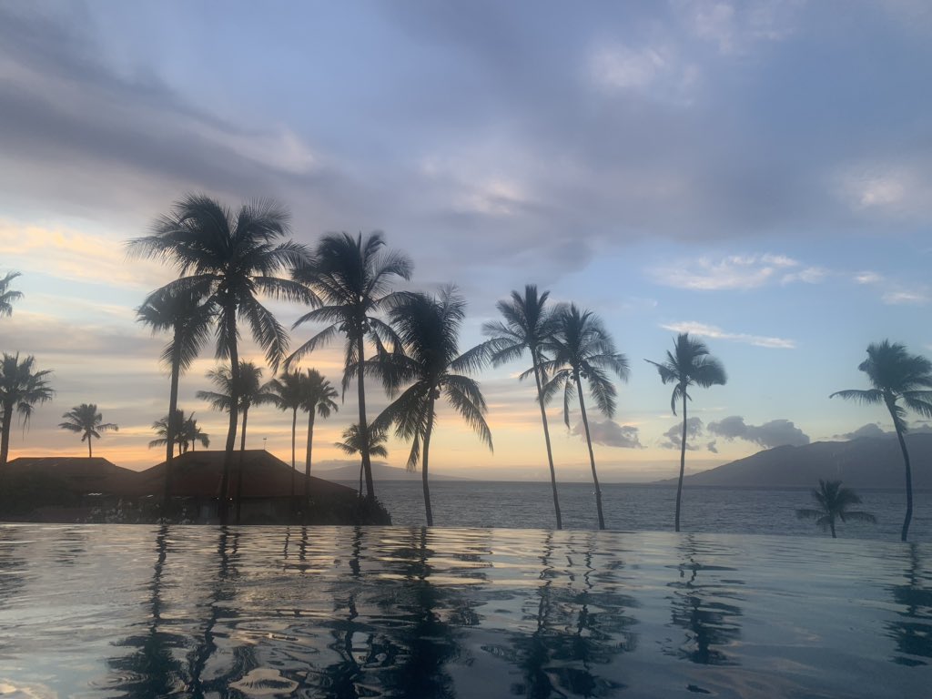 ChristineBrosio's tweet photo. @FSMaui In the #serenitypool πΉ https://t.co/KueGpH370Q