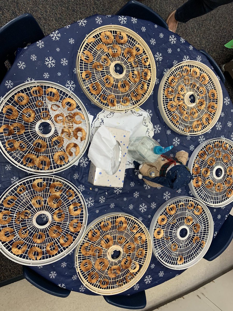 ezimmer_APS's tweet image. Love being neighbors with @MrsKoets! Her class is always willing to share and teach us all about their edible science experiments! #dehydratingapples