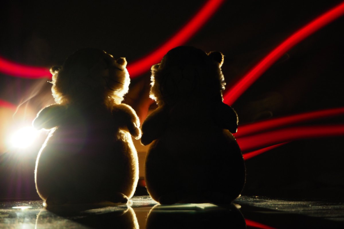 from_utah's tweet photo. Lets just call it art!
#prairiedogs #OLYMPUS #fun #friendship https://t.co/r04Evfzl2Q