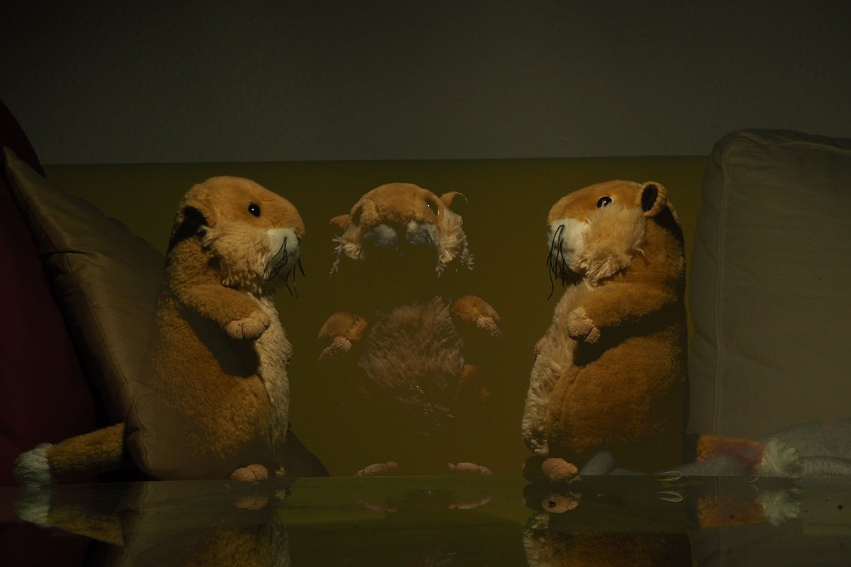 from_utah's tweet photo. Who's the ghost? 
#photoshoot #fun https://t.co/74bB9DhR8J