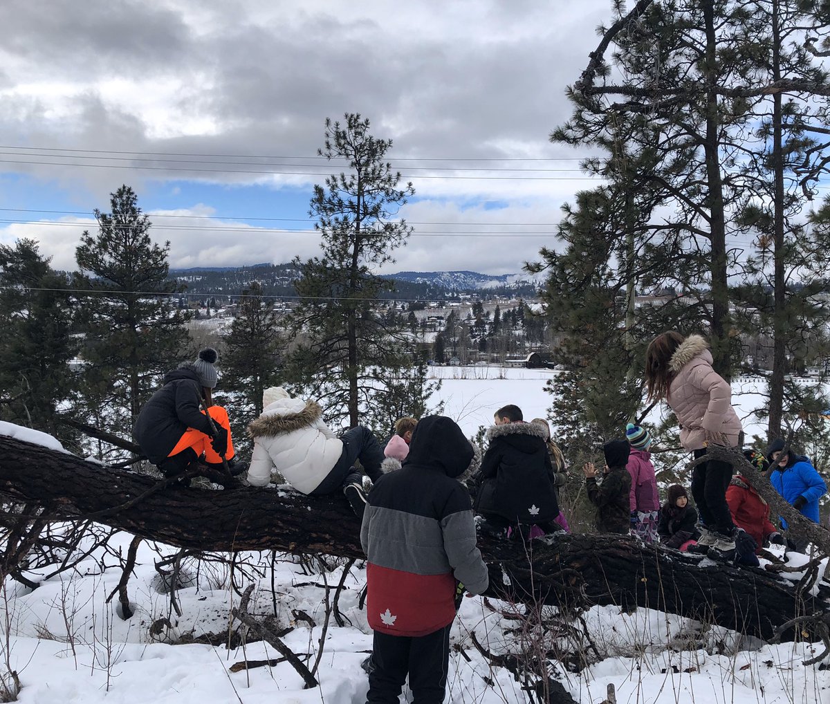 Alexandra Chan-Rancourt tweet media