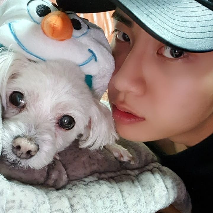 brzvowei's tweet photo. ☀ › 브이단이 보고싶어하던 아롱쓰~ 올해도 건강해줘서 고마워~ 앞으로 오래오래 살자! 사랑해💙 https://t.co/jQQH9nKjl2