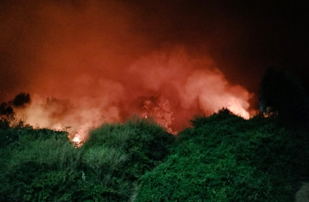 ICEBiobio's tweet photo. #Chiguayante cerro manquimavida se mantiene activo y fuera de control incendio forestal, al momento de reporta una vivienda afectada y avance pone en riesgo otras viviendas que se sitúan en la zona, trabajan brigadas forestales terrestres junto a bomberos, zona de difícil acceso https://t.co/GxfkkGUPYk