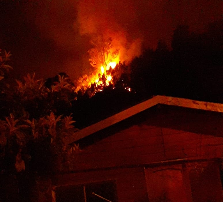 ICEBiobio's tweet photo. #Chiguayante cerro manquimavida se mantiene activo y fuera de control incendio forestal, al momento de reporta una vivienda afectada y avance pone en riesgo otras viviendas que se sitúan en la zona, trabajan brigadas forestales terrestres junto a bomberos, zona de difícil acceso https://t.co/GxfkkGUPYk
