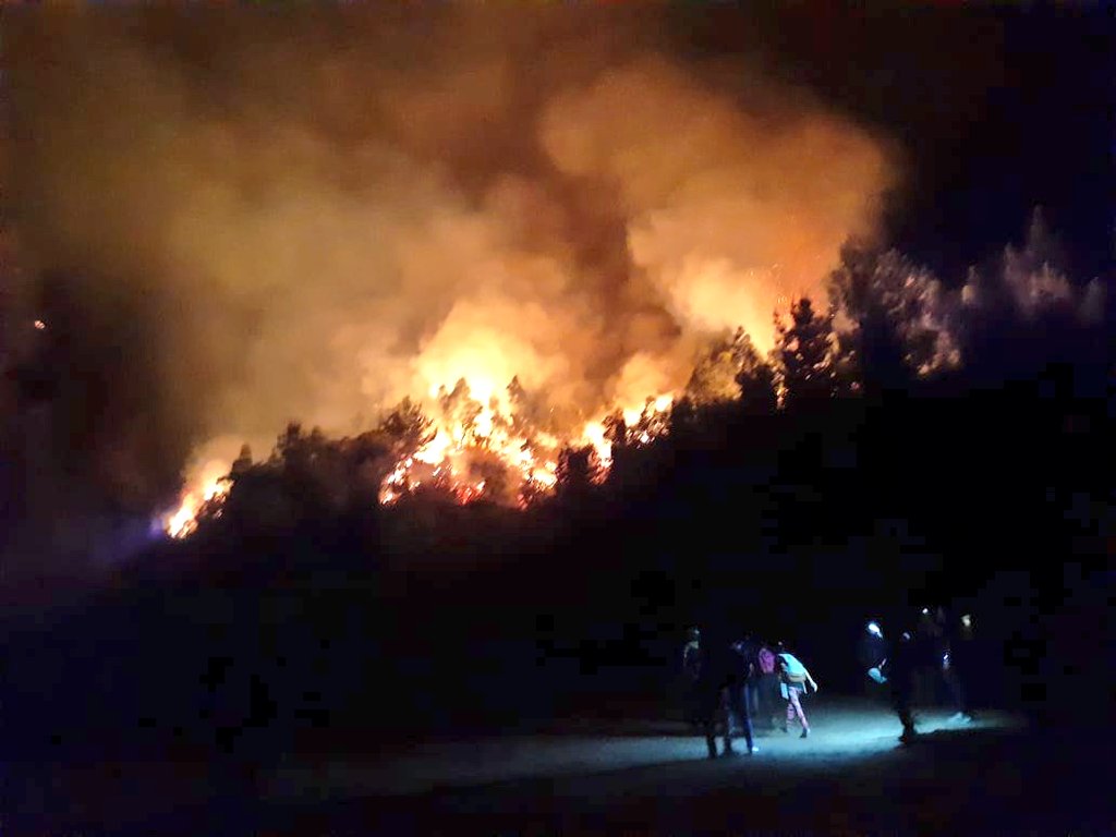 ICEBiobio's tweet photo. #Chiguayante cerro manquimavida se mantiene activo y fuera de control incendio forestal, al momento de reporta una vivienda afectada y avance pone en riesgo otras viviendas que se sitúan en la zona, trabajan brigadas forestales terrestres junto a bomberos, zona de difícil acceso https://t.co/GxfkkGUPYk