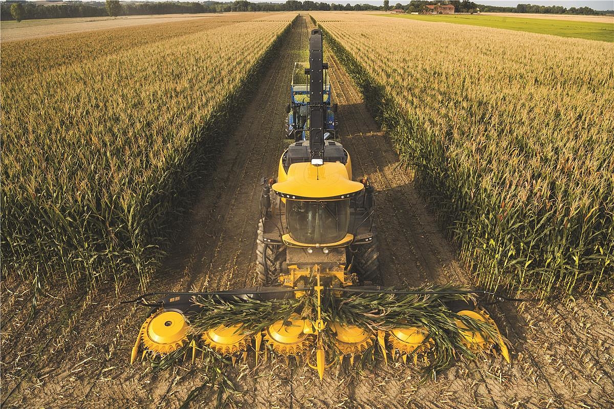 mazergroup's tweet photo. New Holland self-propelled forage harvesters give you the highest-quality silage and best-in-class fuel efficiency for #MassivePerformance. Check out the third-party study here: https://t.co/8JtKdqrKfk https://t.co/5Tnd03N6Sh