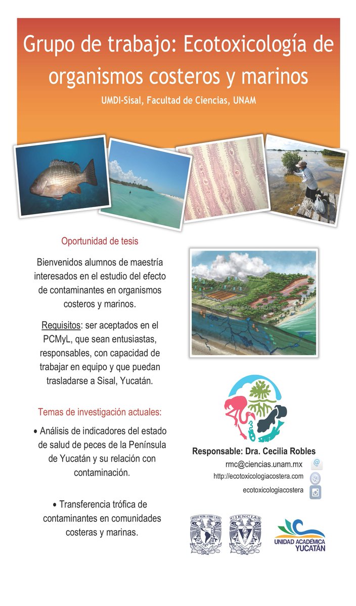 FESIposgradoSE's tweet photo. Información importante para alumnos de maestría en el Posgrado de Ciencias del Mar y Limnología https://t.co/bzcooYkWqF
