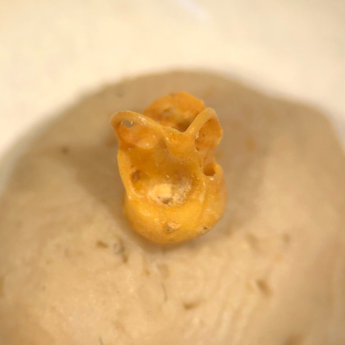 Bloch Lab @UF tweet media