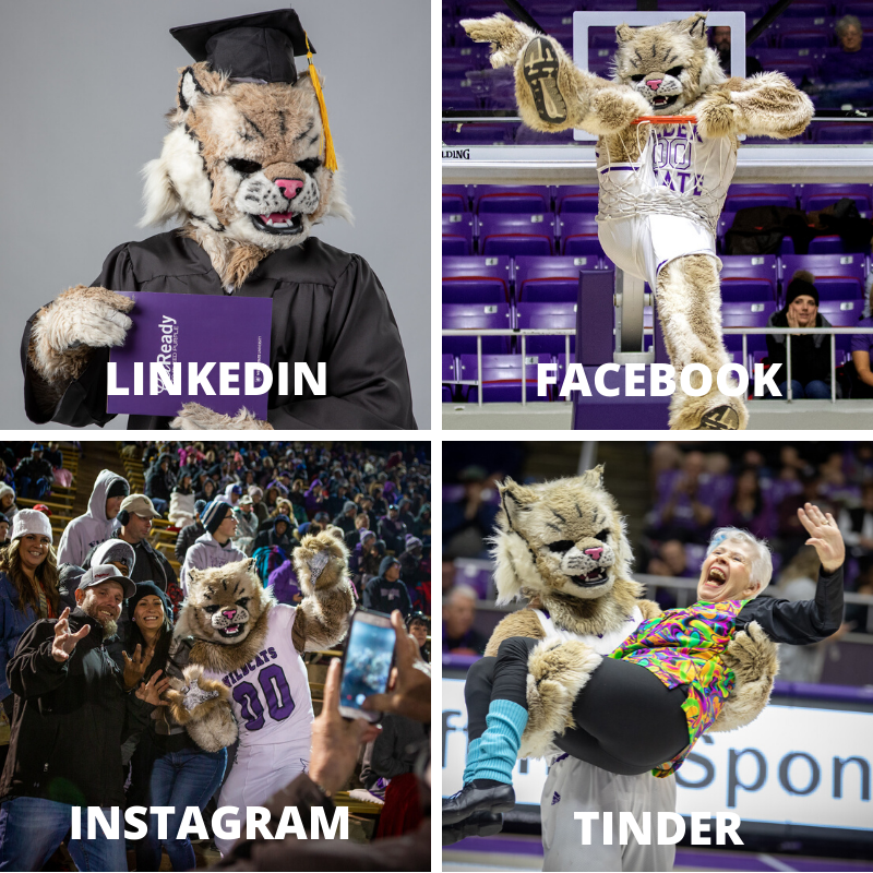 WeberStateU's tweet photo. Getchu a mascot who does it all. #DollyPartonChallenge https://t.co/E3IazGThRX