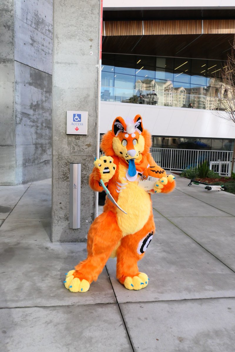 plushgut's tweet photo. Happy #FursuitFriday !! God I miss #FC2020 😭
Thanks @TheEternalFloof for the photos! https://t.co/YGLFrE0ZVA