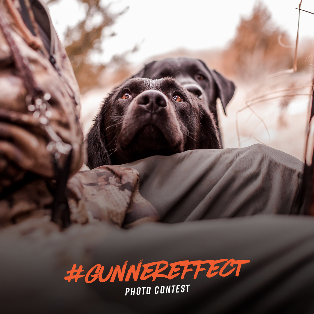 Gunner_Kennels's tweet photo. 1 Grand Prize. 6 category winners. The #GunnerEffect20 photo contest is live. We're looking for the shots that best capture the unbreakable bond between dog & man. Time to shoot your shot>> https://t.co/hYhZJCjsC0 https://t.co/gQ6CN7dBC6