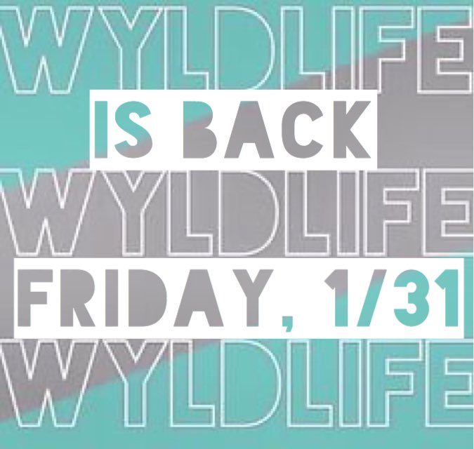 wyldlifenorthw1's tweet photo. WyldLife Club is back NEXT FRIDAY NIGHT! 6:29-7:29pm at the Bara Building for all 6th-8th Graders! Invite your friends and it’ll be the best hour of your week! Plan now to be there! https://t.co/Qc3Ep0HMyT