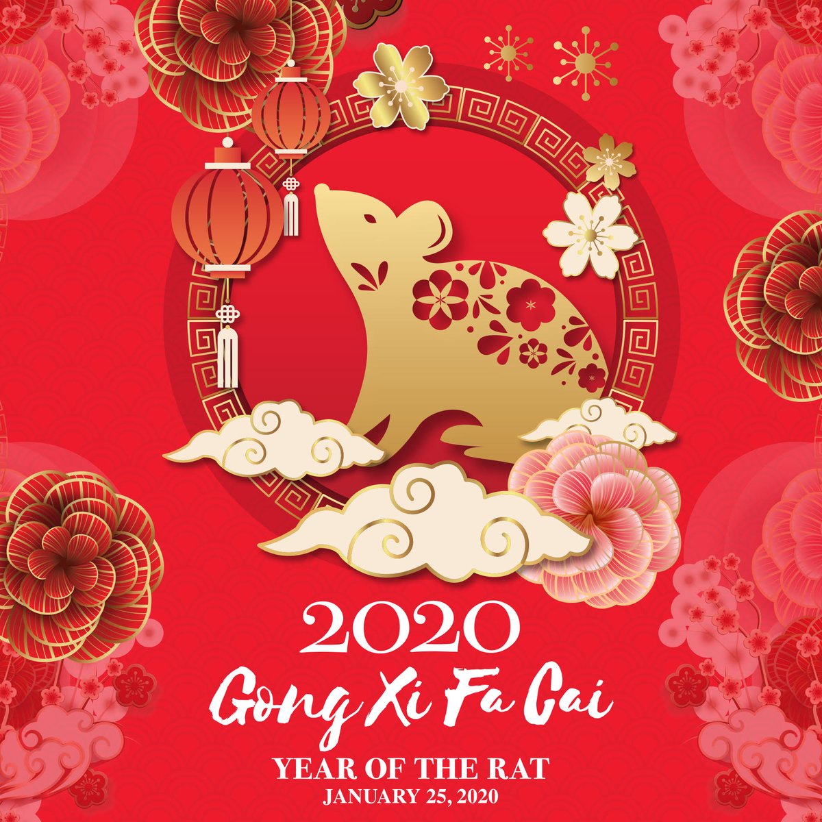 EXPLOREFiji's tweet photo. Happy Chinese New Year! Kung Hei Fat Choi & Gong Xi Fa Cai..
https://t.co/UO1DdR8o1E ...... #explorefiji #CNY #Rat https://t.co/FlkCbN29ca