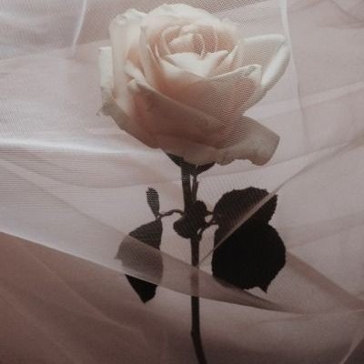 _multifandom_04's tweet photo. ☁️🍓🍬🍒💭 https://t.co/fTiDDRmvoJ