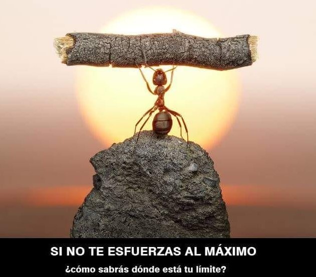 jmanuelm3x23's tweet photo. Ruta Ermitaña, una ves km suicidas con Potones
#MasNaranjaQueNunca
#YTuLimiteDondeEsta
#TodosSomosHormigas
#HormigaNaranja
#ErmitañoNaranja?
#RunNowBeerLater
#Boston2021
@ComuniRunners
@LoveRunSmile
Si luchas puedes perder Pero si no luchas estás perdido. https://t.co/xby0RMaiH3