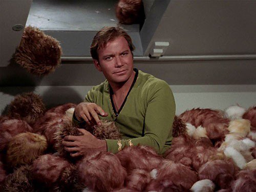 LittleJudeo3's tweet photo. @realDonaldTrump Did Kirk grow your hair in space too? 🤣🤣 #SpaceForce https://t.co/KNxtKwPz9v