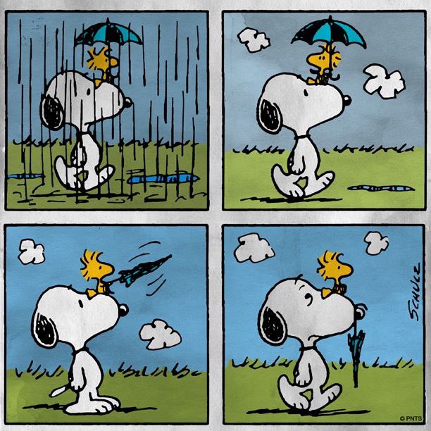 Kalena De Velado Asesora Ar Twitter Este Es Ikercasillas Velado El Bebe De 1 Ano Y Medio De Nuestra Casa Yorkshire