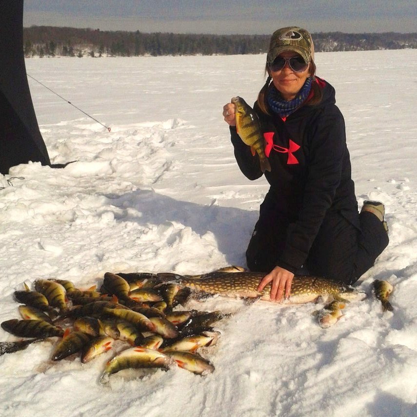 KristaFishes613's tweet image. I caught the biggest pike in our group(5.5lbs) and we all loaded up our freezers!! #Streamside #NorthernPike #YellowPerch #CatchAndEat #GoFishInOntario 🎣🇨🇦💙
