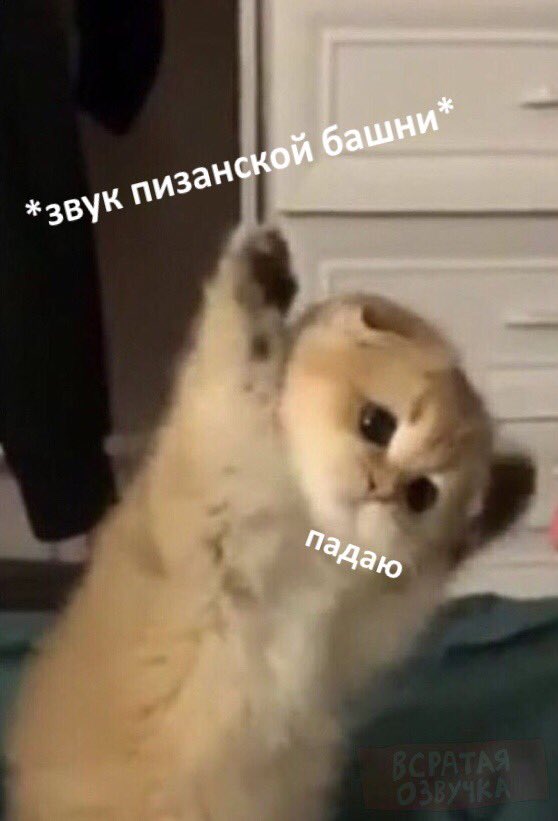 elicherr's tweet photo. @petersburgdandy Знала, что эта сохра мне когда-то пригодиться https://t.co/oakB90U8kh