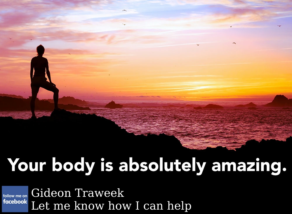 ChiroplusN tweet picture