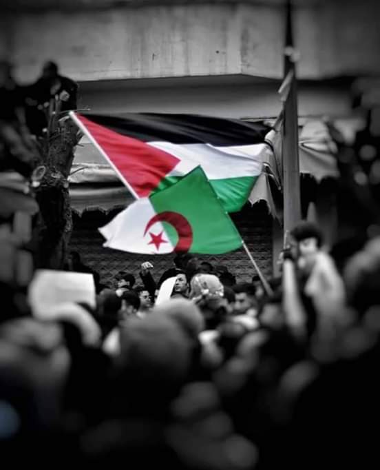 فلسطين..
طالما صرخ شبل أبيٌّ حر ستبقى فلسطين....