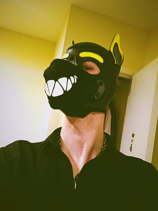 I know the follow count fluxes a bit, but 2,500 followers? Y&rsquo;all are absolutely insane and I&rsquo;m so blessed<a href="/tag/gayporn"class="tags"><span>#gayporn</span></a><a href="/tag/humanpup"class="tags"><span>#humanpup</span></a>
