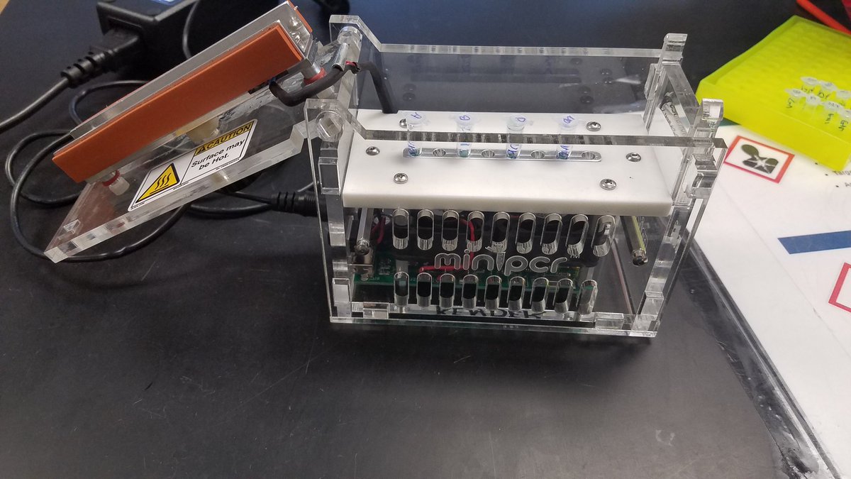 Why give a paper and pencil test for a midyear exam when you could do a DNA test?!?! <a href="/miniPCR/">miniPCR bio</a> #biotech