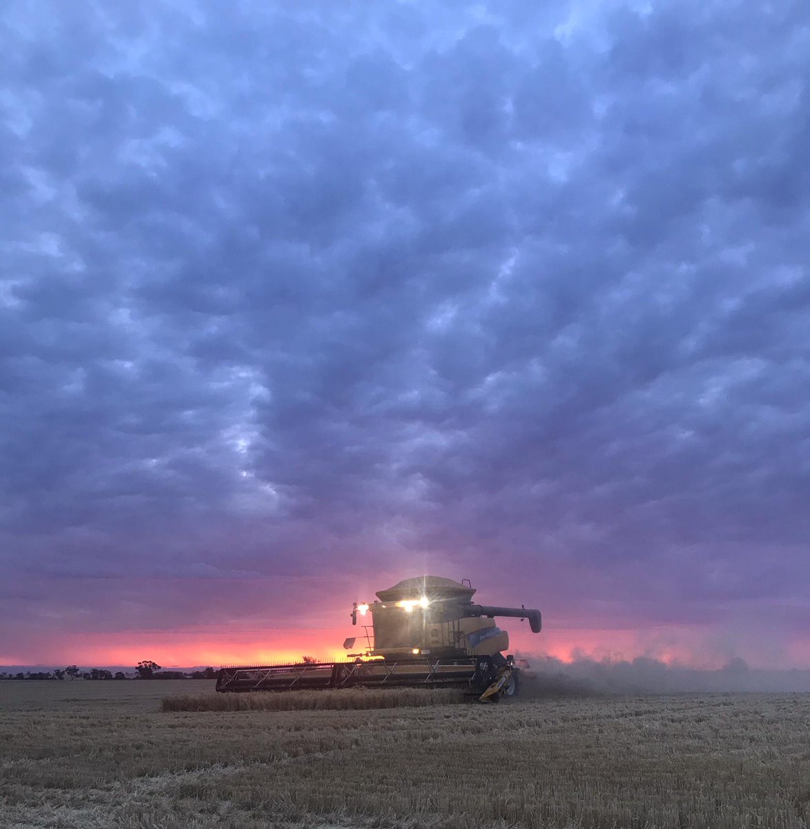 Have a mate looking for work in or around an hour radius of Adelaide. Ag degree, plenty of industry experience. Also has skills transferable to hort/viticulture. Retweets would be appreciated. TIA

Pic just for attention