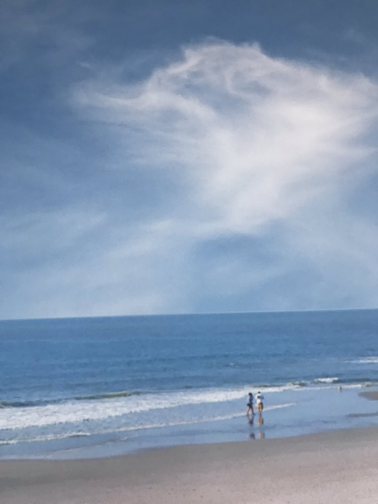 micheleborba's tweet image. Fab day speaking to 700 + extraordinary South Carolina counselors in gorgeous Myrtle Beach on the need for #empathy. Beautiful place- beautiful people. Thank you! You inspire me!  #pssca2020 💜