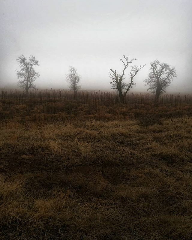 FreeFlowRising's tweet image. The fog settles on the plain. ift.tt/2sVFdpX