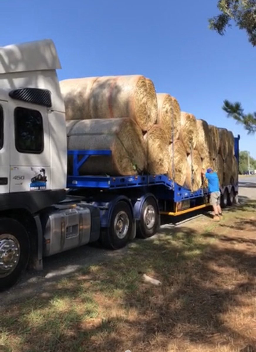 stickymeringue's tweet photo. One of the legends loading up for the Hay Run #NeedForFeed https://t.co/wE9FGG2air