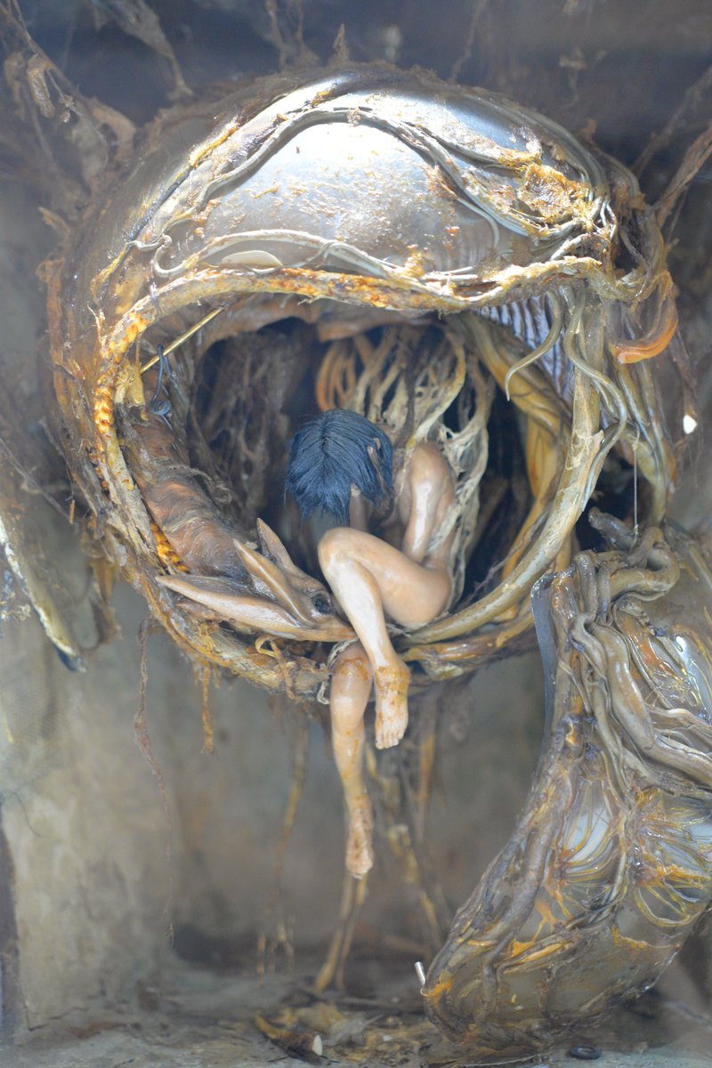 プラマイゼロ 鳥bot 特撮のdna展 ガメラ3 邪神覚醒 イリスの繭雛形 幼体雛形 イリスの繭の雛形は竹谷隆之氏による衝撃的な造形