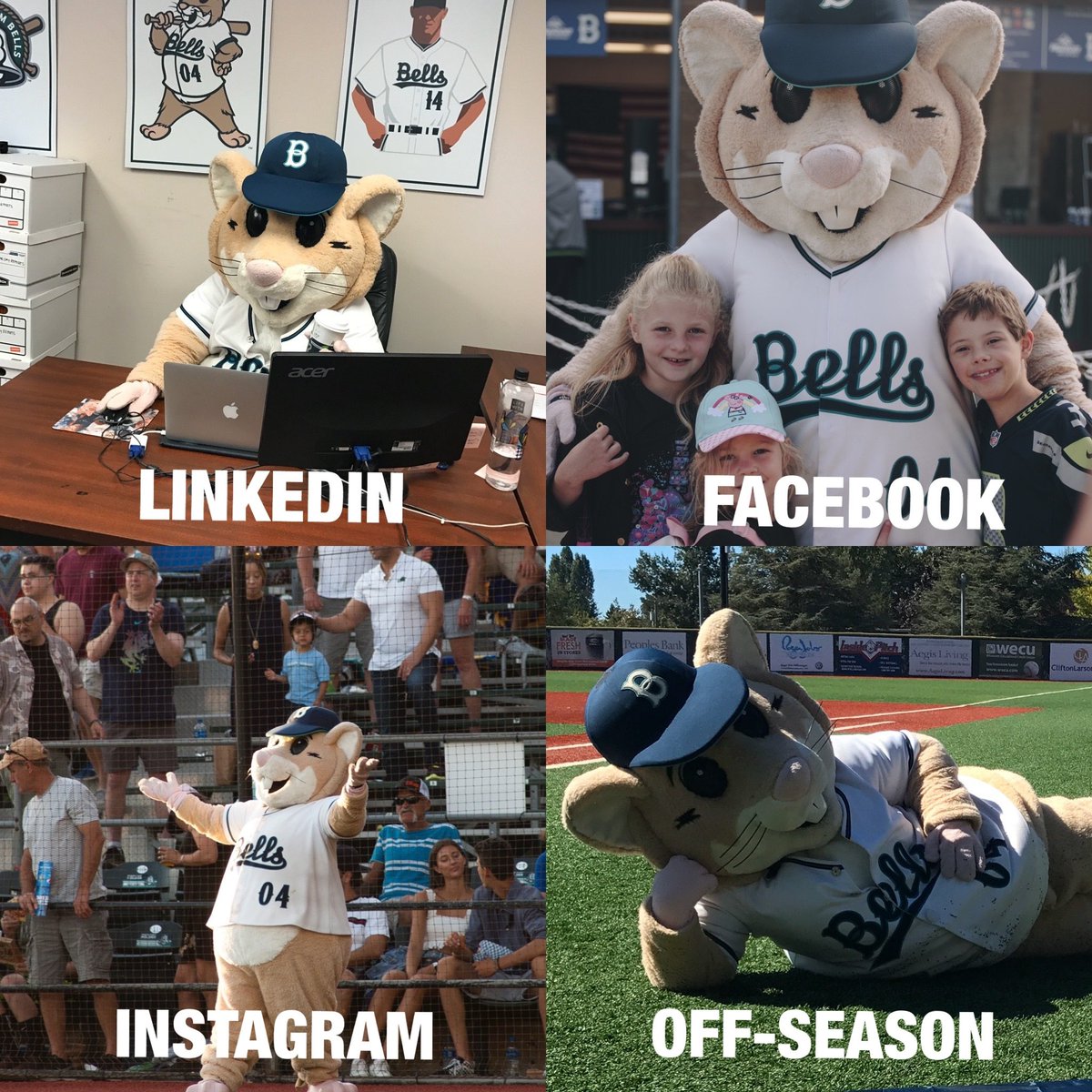 .<a href="/Dinger_04/">Dinger 🐹⚾️</a> isn’t old enough for a Tinder...🤣