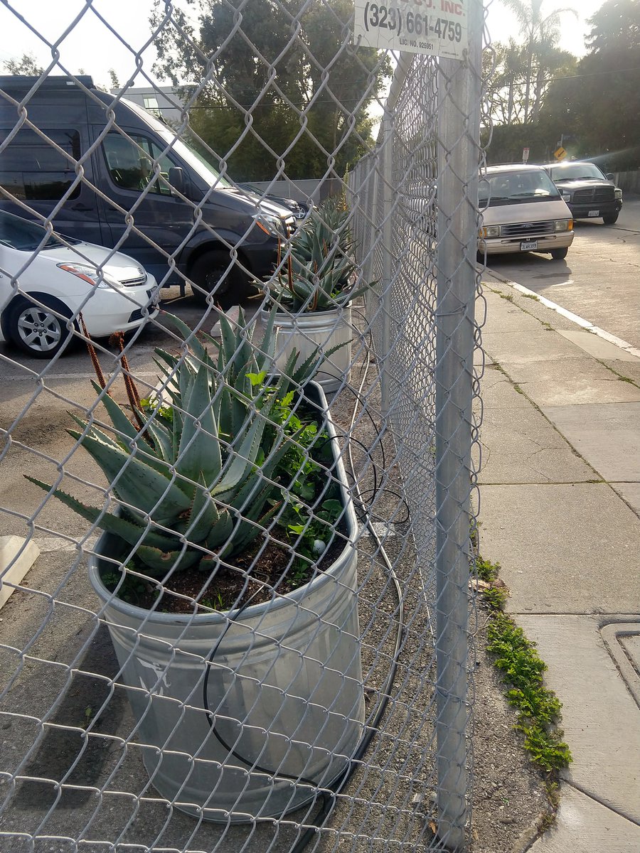 DotKohlhaas's tweet photo. At Palms/Lincoln right now.  

The planters on the south side of Palms are off the sidewalk and in the hardware store parking lot where they belong.

But the ones on the North side near Staples are still on the sidewalk. https://t.co/2YtgjcI29C