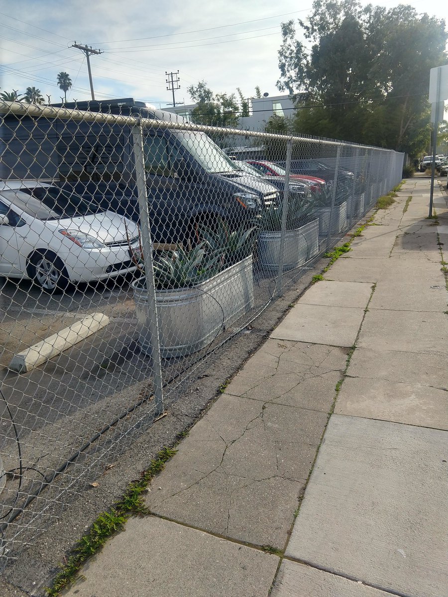 DotKohlhaas's tweet photo. At Palms/Lincoln right now.  

The planters on the south side of Palms are off the sidewalk and in the hardware store parking lot where they belong.

But the ones on the North side near Staples are still on the sidewalk. https://t.co/2YtgjcI29C