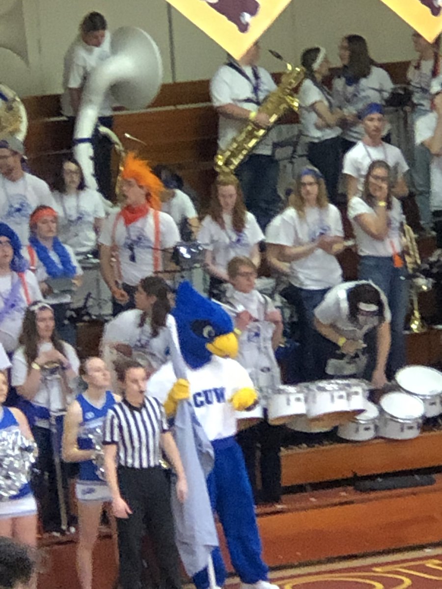 CUSMemeCorps's tweet photo. Just doing some light bird watching. I know that’s a falcon, but can someone help me find what the orange crested bird is above it? @CUWisconsin .#CIT2020 #CIT69 #concordiauniversitychicago #concordiachicago #concordiauniversitywisconsin #concordianebraska #cune #cuc #cuw #cuaa https://t.co/YhaWa1UXvC
